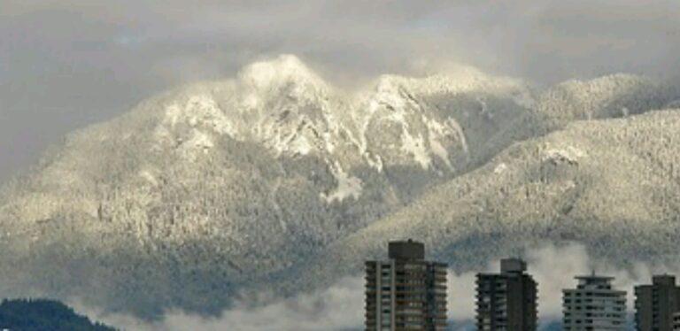 Mountain View Room Rental Vancouver